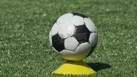 全球赛事受疫情影响回顾（截止至3月3日）